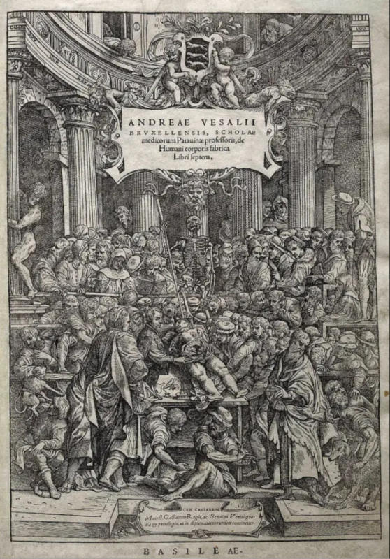 Fig. 15 — De humani corporis fabrica (1555).